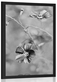 Poszter virágok fekete fehérben