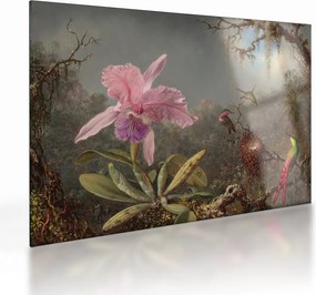 Üveg kép - Martin Johnson Heade, Cattleya Orchid and Three Hummingbirds, reprodukciók (70x50 cm)