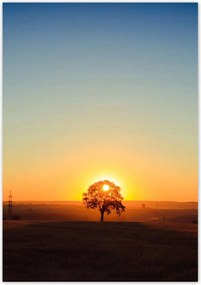 Poszterek 70x100 Kilátás Tájkép