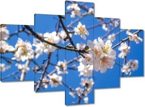 Vászonkép 100x70 Almafa virág