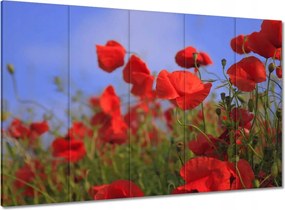 Vászonkép 100x70 Pipacsok az égbolt hátterében