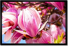 Poszterek keretben 60x40 Virágok