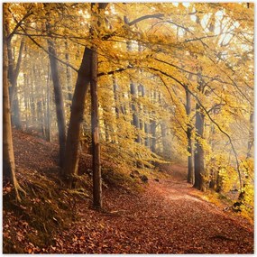 Poszterek 140x140 Tájkép Látvány