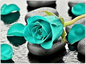 Poszterek 135x100 Türkiz rózsa