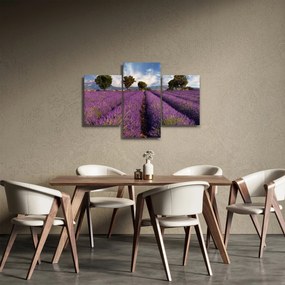 Kép - Levendula mező és hegyek (90x60 cm)