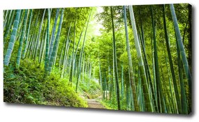Vászon nyomtatás Bambusz erdő oc-60510509