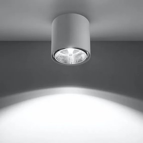 Sollux SL.0695 - Spotlámpa TIUBE1xGU10-AR111/10W/230V