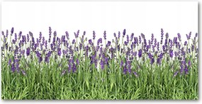 Fotó vászonkép edzett üveg Levendula virágok 140x70