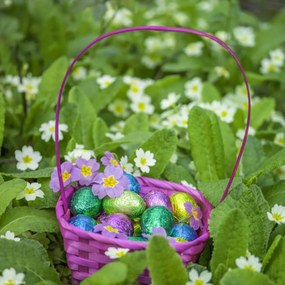 Poszter 20x20cm Húsvéti tojások kosárban 2, Assaf Frank