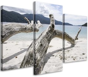 Gario Vászonkép Faág a tengerparton - 3 részes Méret: 60 x 40 cm