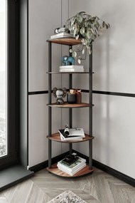 Bookcase könyvespolc, dió, 34 cm – TR282PTR1103