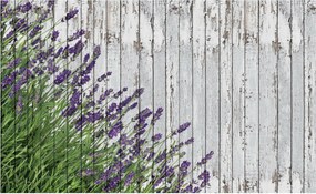 Fotótapéta virág deszka fotótapéta 368 x 254