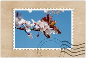 Poszterek 120x80 Tavaszi felvétel a kertből