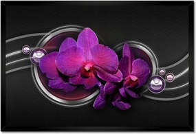 Poszter keretben 60x40 Lila leander