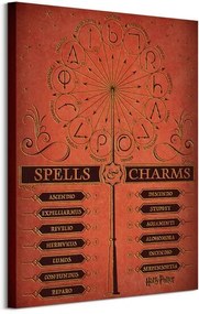 Vászonkép Harry Potter (Spells and Charms) 60x80cm WDC99982