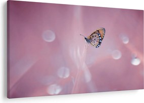 Kép - Pillangó (90x60 cm)