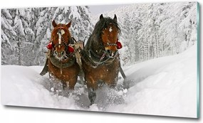 Fotó-kép fotó edzett üveg Kulig 125x50