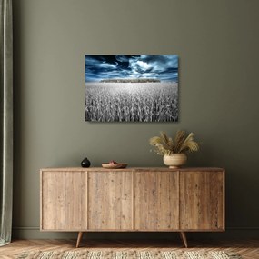 A mező képe (üvegen) (70x50 cm)