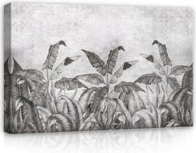 Vászonkép 60x40 Trópusi levelek monokróm grafika természet nyugalom