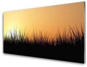 Üvegkép Grass Nature Plant 120x60cm 2 fogas