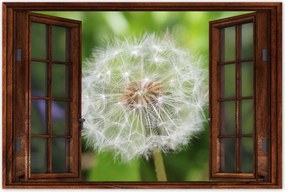 Poszterek 120x80 Pitypang Virág Virágok