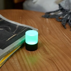 Fekete LED dimmelhető asztali lámpa üveg búrával (magasság 6 cm) Lemelia – Gingko