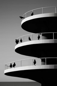 Poszter 30x45cm Holló árnyalatok