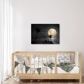 Kép - A strand a telihold alatt szürke tónusokkal (70x50 cm)