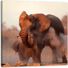 Vászonkép Elefántok Narancssárga Ég Füst Művészet 80X80 cm