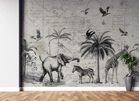 Gario Fotótapéta Térkép és szavanna vintage - Andrea Haase Anyag: Vlies, Méret: 100 x 70 cm