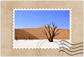 Poszterek 60x40 Fa a sivatagban