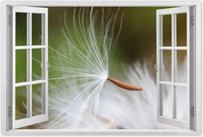 Poszterek 120x80 Pitypang Virág Virágok