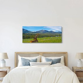 Kép - Szarvas a réten (120x50 cm)