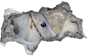 3d fali matrica lyuk a falban Fehér arab ló nd-b-143185113