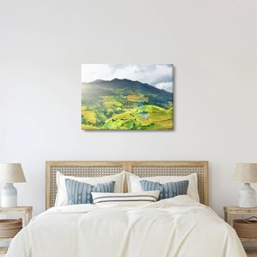Ültetvények képe (70x50 cm)
