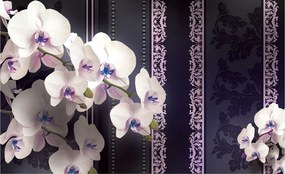 Fotótapéta Fehér orchideák 300x210 finomság és elegancia a hálószobába +ragasztó