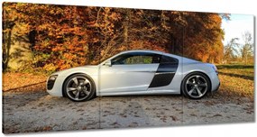 Vászonkép 60x30 Őszi Audi Autó