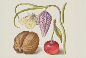 Dekoratív Fotótapéta Hálószoba Pillangó növények 152x104 Ragasztó