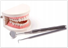 Poszterek 100x70 Állkapocs tükörrel