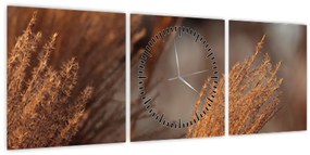 Kép - Cortaderia (órával) (90x30 cm)