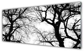 Akrilkép Fák Természet fekete-fehér 125x50 cm