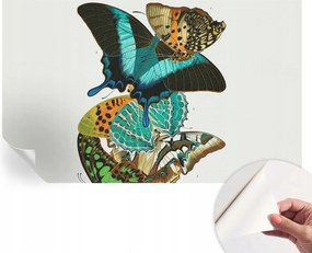 Modern öntapadós fali fotótapéta Színes pillangók 416x254 cm