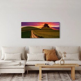Mezei naplemente képe (120x50 cm)