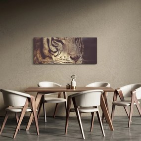 Tigris képe (120x50 cm)