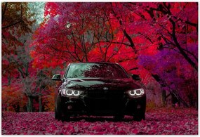 Poszterek 200x135 Fekete Bmw Ősz