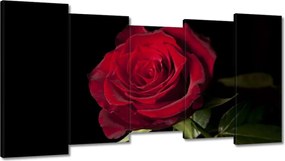 Vászonkép 150x80 Aranyos rózsa