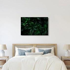 Kép - trópusi páfrány (90x60 cm)