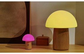 Natúr színű szabályozható asztali lámpa üveg búrával (magasság 13 cm) Alice – Gingko