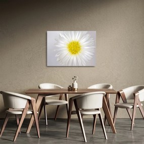 Kép - Margarita (üvegen) (70x50 cm)