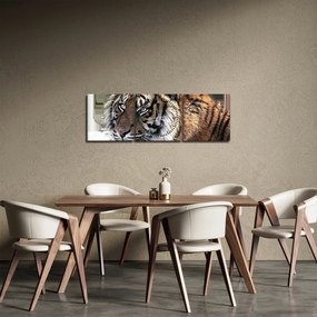 Tigris képe (órával) (90x30 cm)